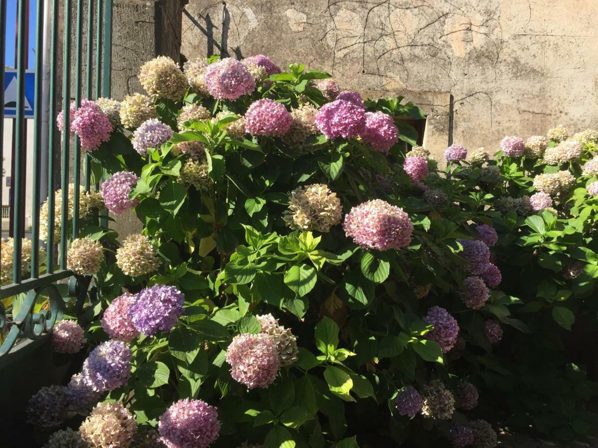 Domaine De Brousson Bed & Breakfast La Tour-sur-Orb ภายนอก รูปภาพ